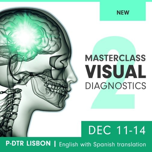 Lisboa – P-DTR Visual Diagnostics 2 2023